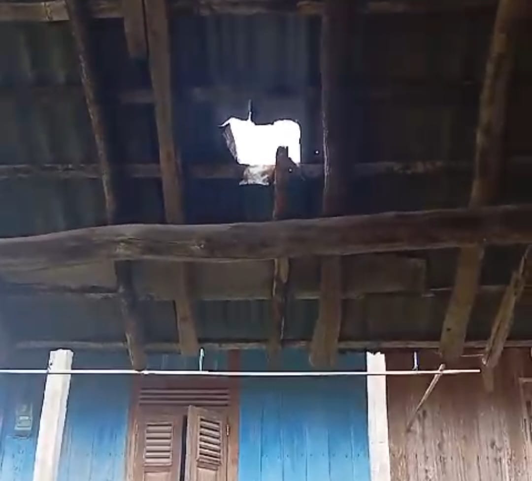 Lubang sebesar bola voli terbentuk di atap rumah Jang Juf akibat hantaman bongkahan batu dampak penambangan PT Semen Baturaja. (foto tangkapan video warga)
