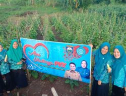 Panen sayuran di Kebun PKK Desa Tanjung Baru