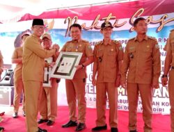 Kades Tanjung Baru Terima PIN Penghargaan Desa Mandiri dari Kementrian