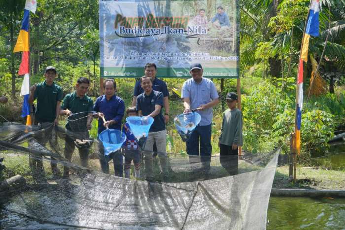 Transformasi PETI melalui Panen Bersama Budidaya Ikan Nila di Desa Tanjung Agung Transformasi PETI melalui Panen Bersama Budidaya Ikan Nila di Desa Tanjung Agung